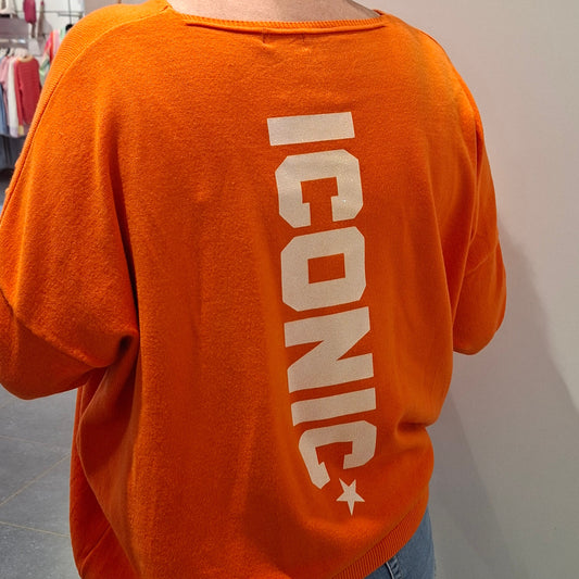 Pull iconic